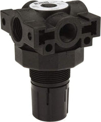 Parker - 3/8 NPT Port, Plastic Miniature Regulator - 0 to 125 psi Range, 150 Max psi Supply Pressure, 1/4" Gauge Port Thread, 2.06" Wide x 3.43" High - Best Tool & Supply