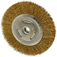 Value Collection - 6" OD, 5/8" Arbor Hole, Crimped Brass Wheel Brush - 1" Face Width, 1-1/8" Trim Length, 0.02" Filament Diam, 6,000 RPM - Best Tool & Supply