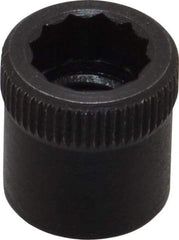 Holo-Krome - 5/16-24" Thread Uncoated Steel Allen Nut - 5/16" Diam, 5/16" Hex Key - Best Tool & Supply