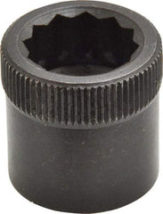 Holo-Krome - 3/4-10" Thread Uncoated Steel Allen Nut - 3/4" Diam, 3/4" Hex Key - Best Tool & Supply