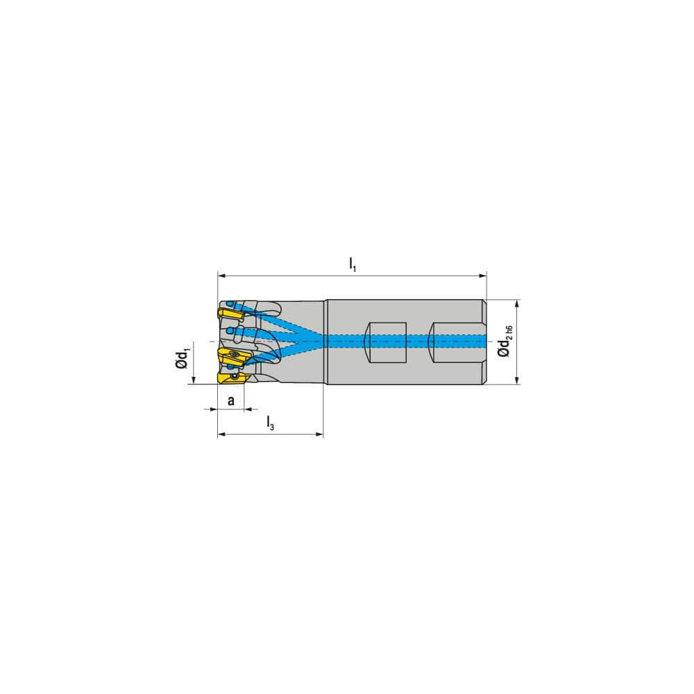 Indexable Square-Shoulder End Mill:  C211.25.R.02-15-B20-32,  20.0000'' Shank Dia,  Weldon Flat Shank Uses  2,  Normal Pressure,  83.00 mm OAL