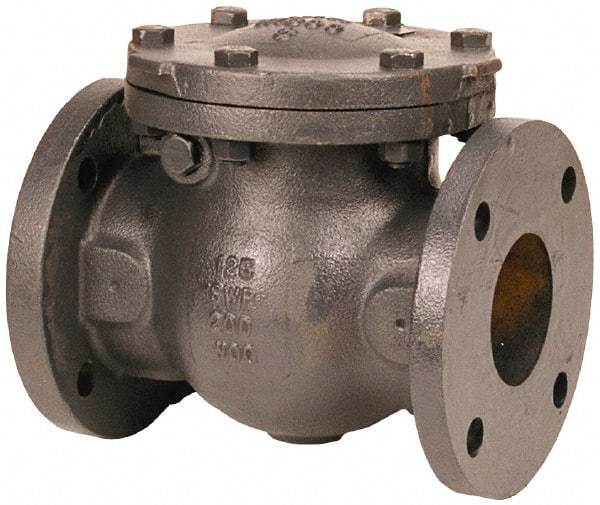 NIBCO - 2" 3% Nickel Check Valve - Flanged, 200 WOG - Best Tool & Supply