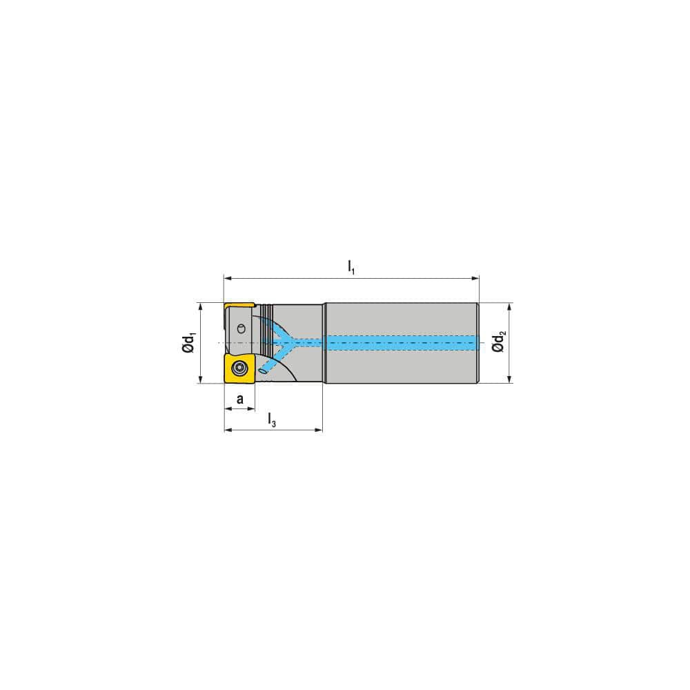 Indexable Square-Shoulder End Mill:  C491.32.R.0409A63250,  32.0000'' Shank Dia,  Cylindrical Shank Uses  4,  Normal Pressure,  250.00 mm OAL