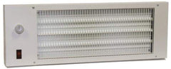 TPI - 22-3/4" Long, 580 BTU Radiant Heat Panel - 120 Volts, 170 Watts - Best Tool & Supply