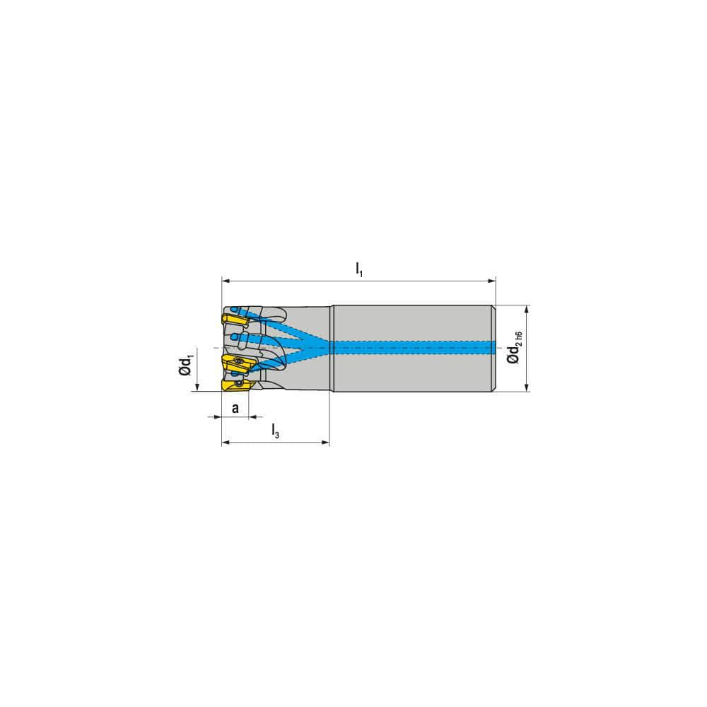 Indexable Square-Shoulder End Mill:  C211.32.R.0411A64250,  32.0000'' Shank Dia,  Cylindrical Shank Uses  4,  Normal Pressure,  250.00 mm OAL