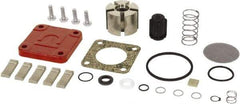 Tuthill - Repair Part Kit - For Use with Diaphragm Pumps - Best Tool & Supply