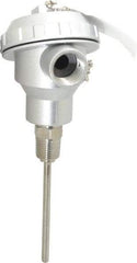 Thermo Electric - -148 to 900°F, 100 OMS Industrial RTD, Thermocouple Probe - 1/2 Inch Hex Mount, 4 Inch Probe Sheath Length, 10 Sec Response Time - Best Tool & Supply