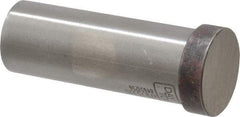 Dayton Lamina - 7/8" Head Diam, 3/4" Shank Diam, Basic Head, A2 Grade Tool Steel, Solid Mold Die Blank & Punch - 1/4" Head Height, 2-1/4" OAL, Blank Punch, Regular (KPB) Series - Best Tool & Supply