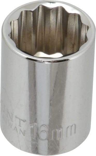 Paramount - 3/8" Drive, Standard Hand Socket - 12 Points, 1-3/16" OAL, Steel, Chrome Finish - Best Tool & Supply