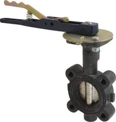 NIBCO - 2" Pipe, Lug Butterfly Valve - Lever Handle, Ductile Iron Body, EPDM Seat, 250 WOG, Ductile Iron Disc, Stainless Steel Stem - Best Tool & Supply