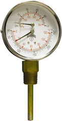 Winters - 3" Dial, 1/2 Thread, 0-75 Scale Range, Pressure Gauge - Lower Connection Mount, Accurate to 0.03% of Scale - Best Tool & Supply