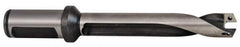 Allied Machine and Engineering - Series 12, 12 to 12.99mm Diam, 3/4" Diam Straight Shank with Flange, Straight Flute Spade Drill - 3-19/32" Max Depth, 4-25/32" Body Length, 6-45/64" OAL, Standard Length, Through Coolant - Best Tool & Supply