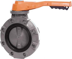 Hayward - 4" Pipe, Wafer Butterfly Valve - Lever Handle, ASTM D1784 Cell Class 12454 PVC Body, FPM Seat, 150 WOG, PVC Disc, Stainless Steel Stem - Best Tool & Supply