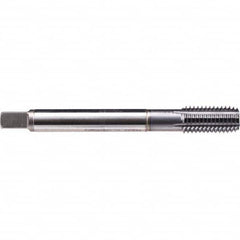 Emuge - Thread Forming STI Taps Thread Size (Inch): #6-32 Class of Fit: 2B - Best Tool & Supply