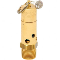 Control Devices - 1/2" Inlet, ASME Safety Valve - Best Tool & Supply