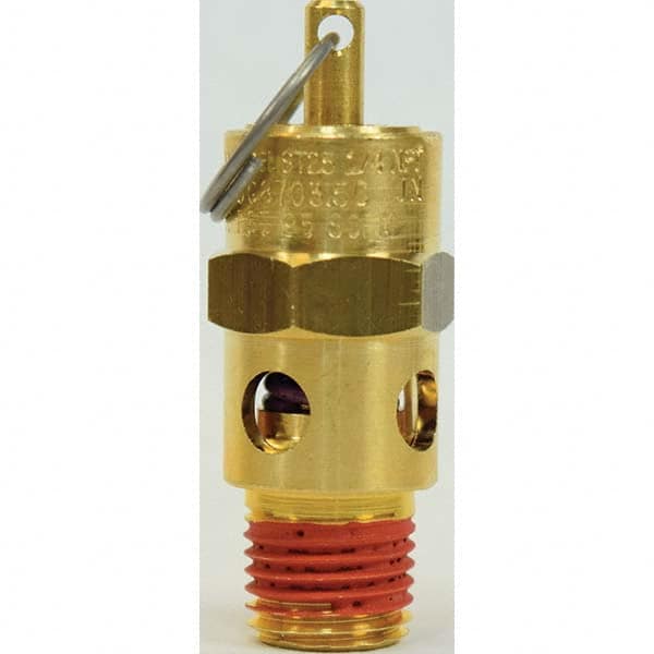 Control Devices - 1/4" Inlet, ASME Safety Valve - Best Tool & Supply