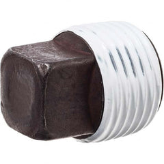 Black Square Plug: 1/4″ Steel, Black Finish, Class 3000