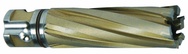 19MM X 50MM CARBIDE CUTTER - Best Tool & Supply