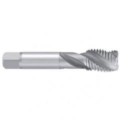 M12–6H ENORM-VA Sprial Flute Tap - Best Tool & Supply