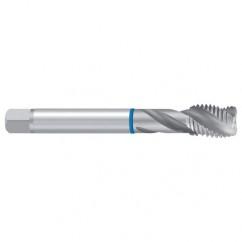 G 1/8 ISO 228 2ENORM-VA Sprial Flute Tap - Best Tool & Supply