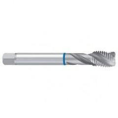 G 1/8 ISO 228 2ENORM-VA Sprial Flute Tap - Best Tool & Supply