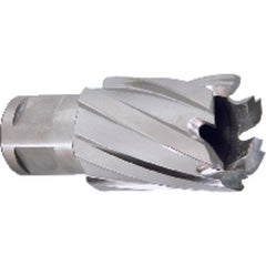 ‎5/8″ Dia-3/4″ Max Depth of Cut - M42 - Annual Cutter - Best Tool & Supply