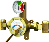 Guardian tempering valve blends hot and cold water to deliver tepid water. Flow capacity is 3.0 to 34 GPM, for use with a single emergency shower, or multiple eyewash, eye/face wash, eyewash/drench hose or drench hose units. - Best Tool & Supply
