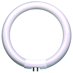 18 Watt Full Spectrum Circline Fluorescent T5 Bulb - Best Tool & Supply