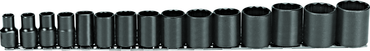 Proto® 1/2" Drive 15 Piece Black Oxide Socket Set - 12 Point - Best Tool & Supply