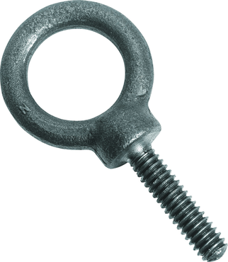 Protoå Forged Eye Bolt - 2.75" - Best Tool & Supply