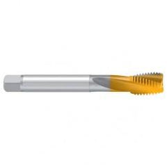 1–1/8–7 UNC–2BX REK.2D-Z-BF TiN Sprial Flute Tap - Best Tool & Supply