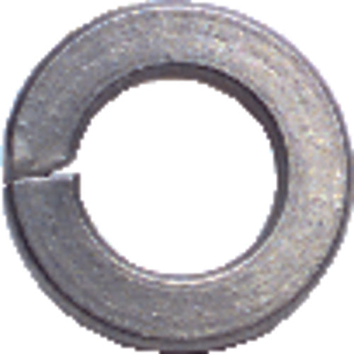 10 Bolt Size - Zinc Plated Carbon Steel - Lock Washer - Best Tool & Supply