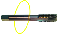 3/4-16 Dia. - H3 - 3 FL - Std Spiral Point Tap - Yellow Ring - Best Tool & Supply